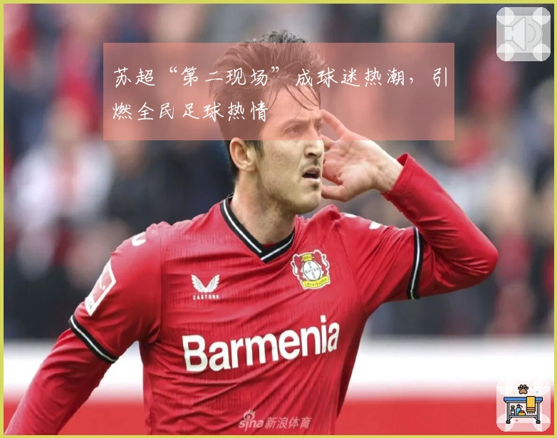 苏超“第二现场”成球迷热潮，引燃全民足球热情