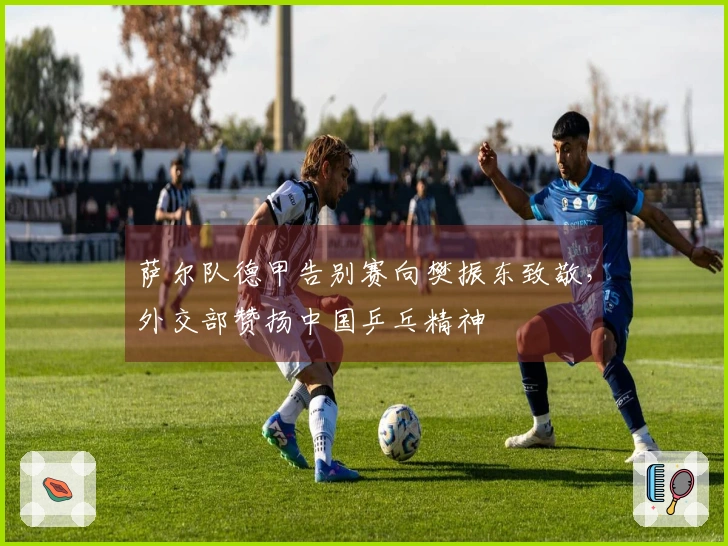 萨尔队德甲告别赛向樊振东致敬，外交部赞扬中国乒乓精神