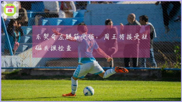 东契奇左腿筋受伤，周五将接受核磁共振检查