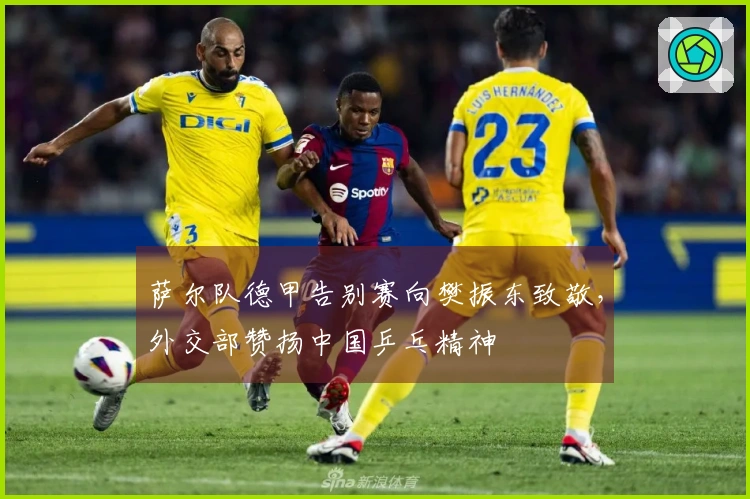 萨尔队德甲告别赛向樊振东致敬，外交部赞扬中国乒乓精神